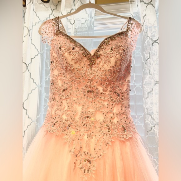 Blush Pink Quinceanera Dress Masquerade Dress A-Line Wedding Dress Floor Length High Neck Bridal Gown Short Sleeves Y2937